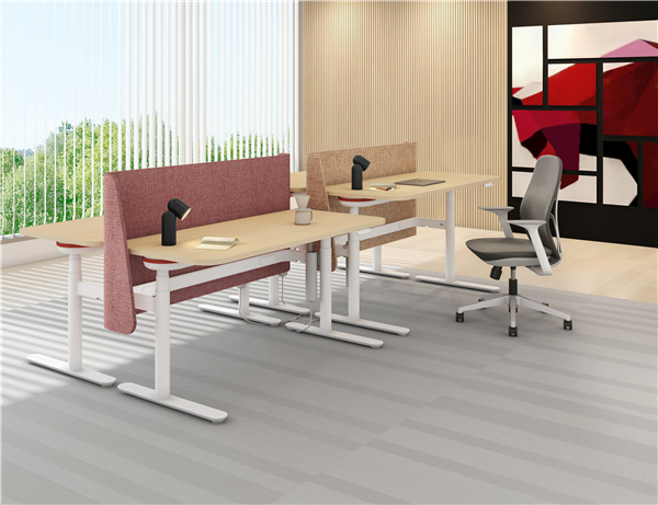 7 - Duplex Height-adjustable Desk and Trus