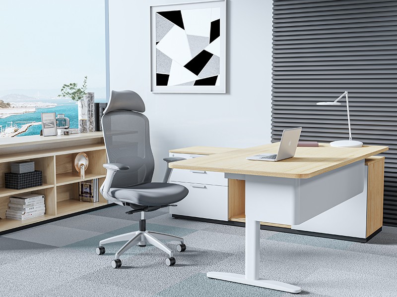 5 - Liquid with Headrest and Envolve Height-adjustable Desk (HAD)